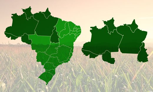 Imagem da Região